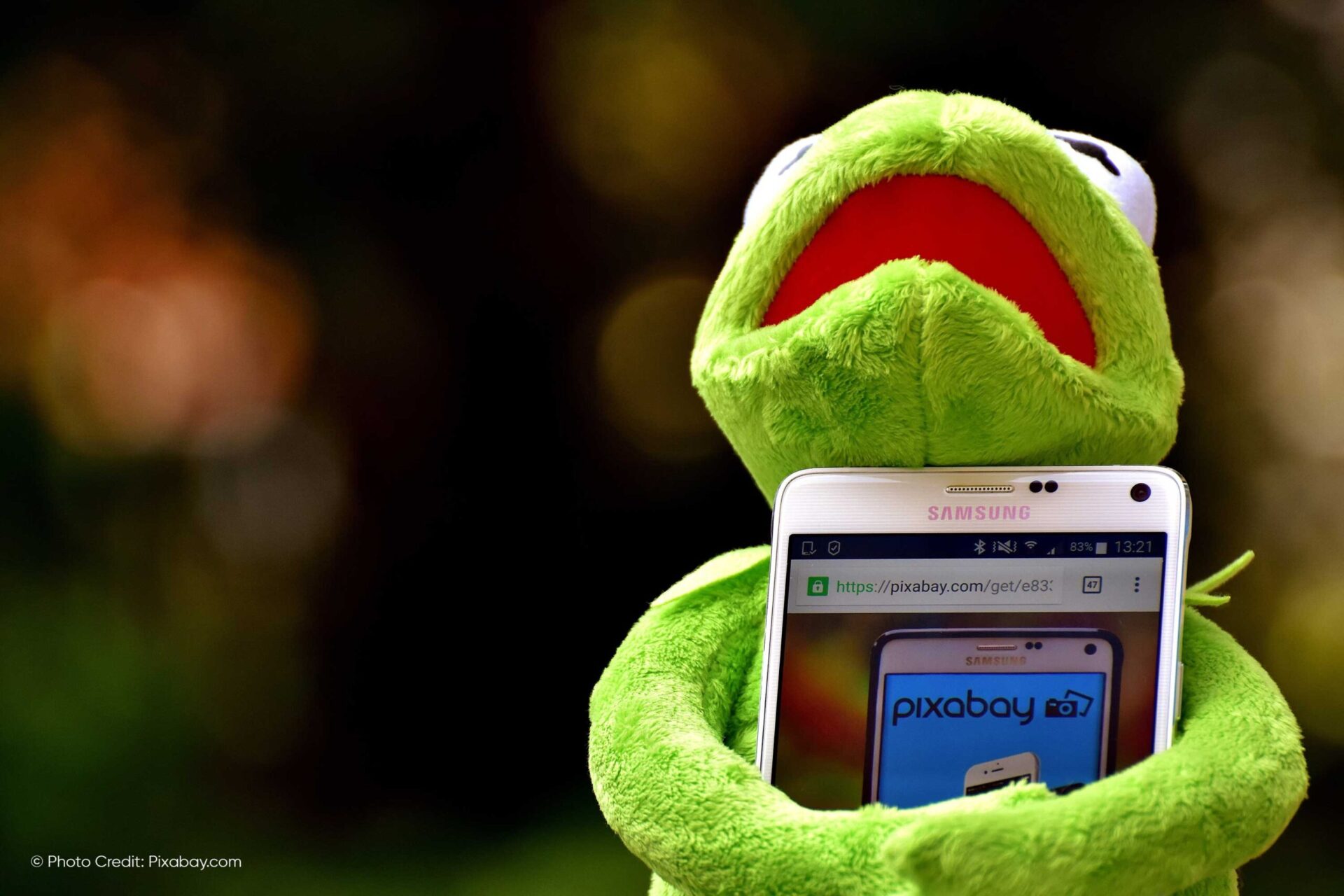 Exploring Pixabay: Your Ultimate Resource for Free Stock Photos and Videos